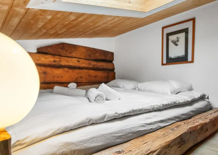 Horská chata Renove Et Chaleureux, Ovronnaz 4 Personnes, Famille Leytron